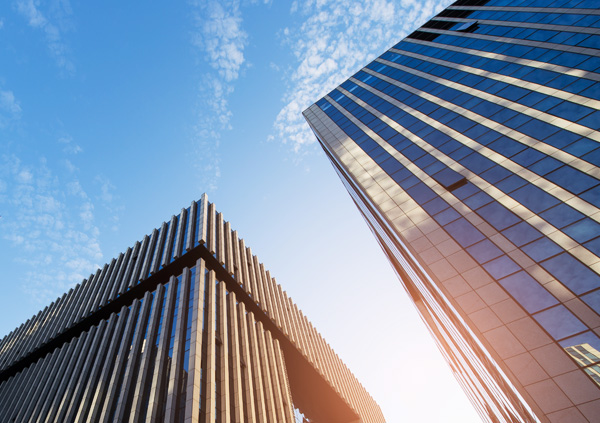 云浮市罗定市草莓苗、软枣猕猴桃苗、蓝莓苗、酥脆一号、甜茶苗、蟠桃苗、烟福8苹果苗。